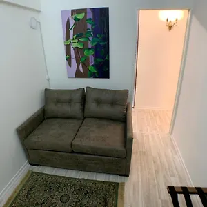 アパート En Palermo Rapido Wi-fi Cama Queen ブエノスアイレス